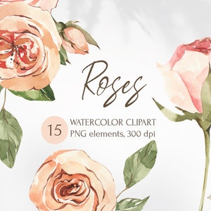 Clipart Floral Aquarela. Flores rosas florescem para download instantâneo. Elementos PNG de verão florescendo, flor de outono. Conjunto floral de jardim.