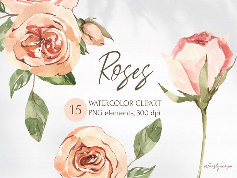 May include: Watercolor clipart of 15 peach and pink roses with green leaves. The text "Roses" is written in cursive script above the flowers. The text "WATERCOLOR CLIPART" and "PNG elements, 300 dpi" is written below the flowers.