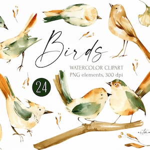 Aquarell Vögel Clipart, digitale Herbst Bilder, Thanksgiving Clipart, Herbst Illustrationen, Instant Download. Herbst Pflanzen - Botanik png.