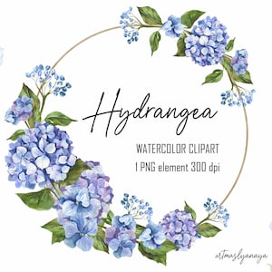 デザイン用の水彩デジタル花輪クリップアート。青色のアジサイの花。すぐにダウンロードできる花のコンポジション。緑のアート