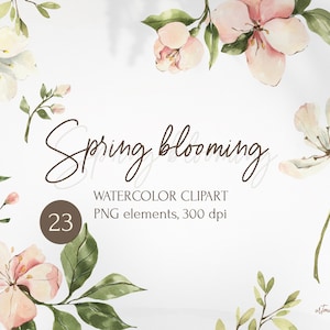 Clipart de flores brancas rosas florescendo de primavera em aquarela. Flor de cerejeira de maçã. Elementos PNG de vegetação floral para download instantâneo.