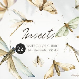 Aquarell Insekten PNG Clipart. Schmetterlings-, Motten- und Libellenkollektion für Hochzeitseinladungen, Karten, Poster. Trendiges, realistisch bemaltes Set.