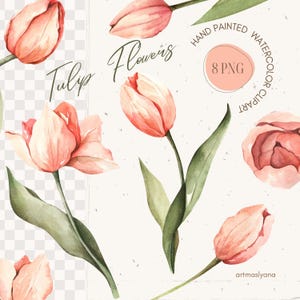 Handgeschilderde aquarel tulpen clipart, koraalrode bloemen afbeeldingen. Handgetekende digitale afbeeldingen. Lentebloem bloesem, groen eerst bloemen
