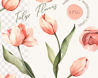Watercolor Tulips Clipart, Hand Painted Floral Images (PNG) Commercial using is included