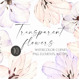 Aquarel bloemen clipart, transparante lentebloemen, tulp handgeschilderde illustratie, afbeeldingen commercieel gebruik, anemoonbloem, png