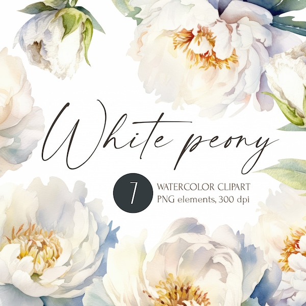 White Peonies flowers watercolor clipart for instant download, free commercial use, floral illustration, light blossom png, digital images.