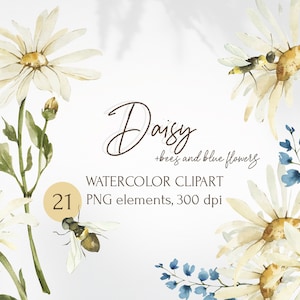 Clipart marguerite aquarelle. Collection numérique florale de camomille. Illustrations botaniques estivales de fleurs sauvages. De la verdure, des bouquets, des abeilles en PNG.