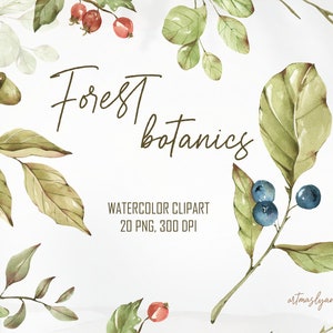 Aquarell Wald Botanik Clipart zum sofortigen Download. Botanische Illustration digital: Beere, Blatt, Farn, Laub, Eichel, Beere