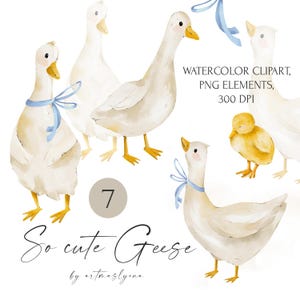 Aquarell Gänse Clipart, Illustrationen, süße kleine Gans, Bauernhof Tiere, Entenküken, schwarz und weiß, Sofort Download png