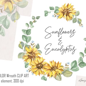 Guirlanda de aquarela girassóis e eucaliptos. Clipart pintado à mão em PNG para download instantâneo. Guirlanda floral DIGITAL. Arte com flores e folhas