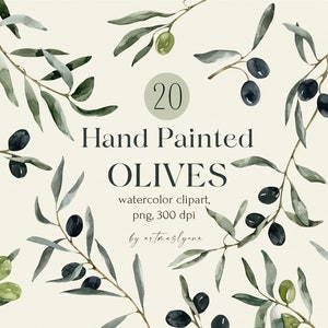 Clipart de azeitonas em aquarela, ilustrações de vegetação, ramos de oliveira pintados à mão, imagens digitais botânicas png, vegetação para download instantâneo