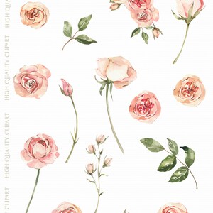 May include: A set of 15 watercolor illustrations of pink roses in various stages of bloom. The roses are painted in a delicate style with soft pink and peach hues. The illustrations are perfect for adding a touch of elegance to any project.