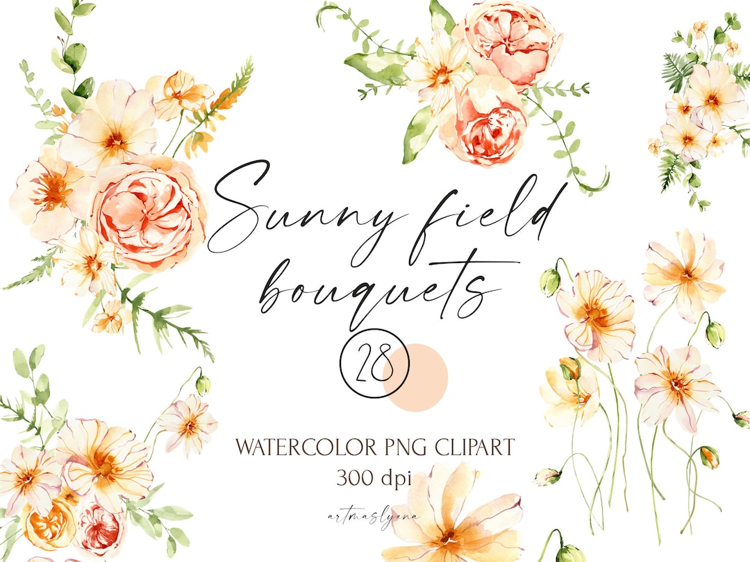 Aquarell Sunny Field Blumensträuße Clipart. Sommerblumen Gestecke zum sofortigen Download. Digitale Kompositionen png, sonniges Bouquet