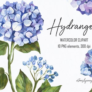 すぐにダウンロードできる水彩アジサイ クリップアート PNG。青色のデジタル花クリップアート。花と葉のイラスト。ウェディング セット