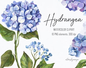 Watercolor Hydrangea Clipart PNG for instant download. Digital floral Clipart in blue colors. Flowers and leaves illustrations. Wedding set