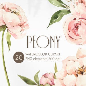 Clipart di peonie ad acquerello. Bouquet floreali, foglie e boccioli. Elementi di boccioli di fiori in PNG per il download immediato. Bouquet da sposa ad acquerello