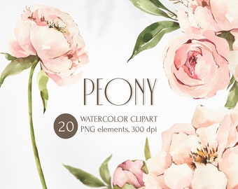 Może przedstawiać: Aquarelowe kliparty z 20 różowymi piwoniiami z zielonymi liśćmi. PEONY WATERCOLOR CLIPART PNG elements, 300 dpi.