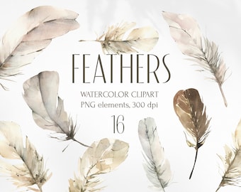 Watercolor Feathers clipart for instant download. Bohemian wedding clipart png. Watercolor bird elements. Digital download collection art.