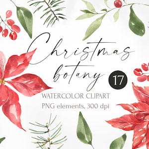 Clipart de botânica natalina em aquarela. Clip-art de visco-poinsétia. Ilustração de frutas vermelhas, folhas e flores. Férias de inverno. Botânica natalina.