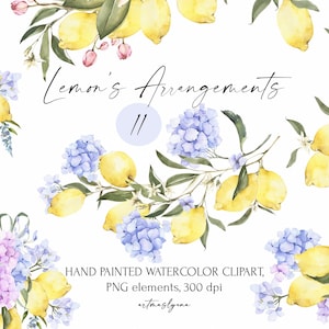 Arranjos de limões em aquarela, clipart de buquês de frutas cítricas, plantas de jardim mediterrâneas, limões pintados à mão, hortênsias, ilustrações de orquídeas