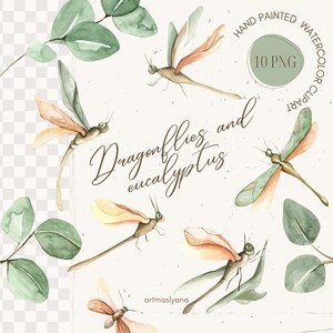 Watercolor Dragonflies and Eucalyptus Clipart. Digital set for instant download. Eucalyptus leaves, Insects and botany clipart in PNG