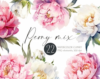 Peonies flowers watercolor clipart for instant download, free commercial use, floral illustration, pink white blossom png, digital images.