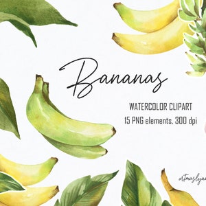 Aquarell Bananen, exotische grüne und gelbe Früchte. Handgemalte digitale Bilder zum sofortigen Download PNG, Bananenpalmen, Blätter, Blume