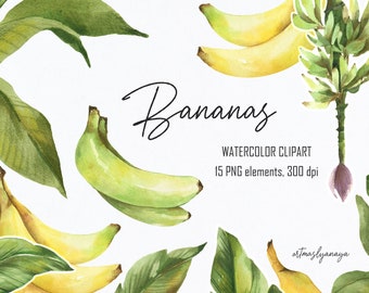 Peut inclure: Clipart aquarelle de bananes avec des feuilles vertes. Le clipart comprend 15 éléments PNG à 300 dpi.