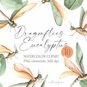 Watercolor Dragonflies and Eucalyptus Clipart. Digital set for instant download. Eucalyptus leaves, Insects and botany clipart in PNG