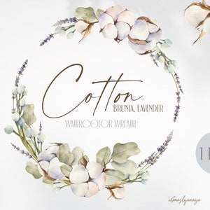 Couronne de coton aquarelle en PNG. Cotons réalistes poussiéreux, fleur de lavande, brunia aux feuilles d’eucalyptus. Idéal pour l’invitation au sessage, carte