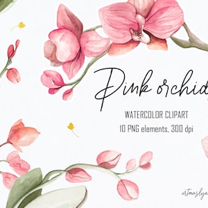 Aquarel Clipart van Orchideeën in roze kleuren. Floral digitale set voor directe download. Kleurrijke geschilderde bloemen in PNG. Knop, bloesem, blad.