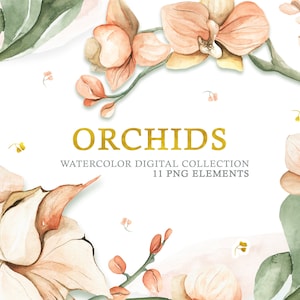Aquarell Orchideenblüten und Blätter. Digitales Blumen Set. Gemalte Blumenblüte. Pastel blush floral Sammlung in PNG zum sofortigen Download