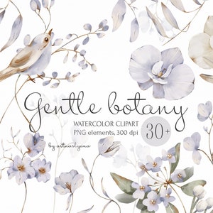 Aquarelcollectie zachte plantkunde clipart, elegante handgeschilderde afbeeldingen van bloemen, bladeren, vogels en bessen voor directe download.