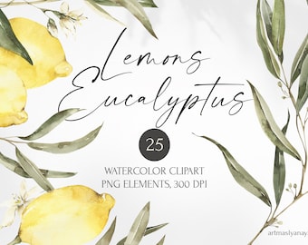 Watercolor Lemons and Eucalyptus clipart for instant download. Greenery hand drawn clipart in PNG.  Digital fruits, plants, leaves, foliage.