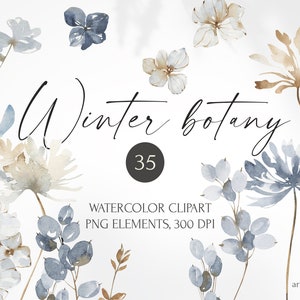 Watercolor Winter botany clipart for instant download. Winter botanical illustration: leaves, berries, snowberry, flowers, hydrangea floral.