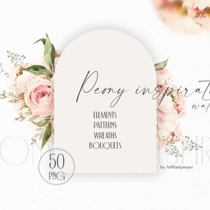 Imágenes prediseñadas de primavera de peonía acuarela. Ilustraciones de diseño de bodas, peonías, flores, patrones sin costuras, ramos de flores png. ¡Uso comercial incluido!