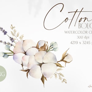 Bouquet di cotone acquerello. Composizione floreale per inviti di nozze, cartoline per la festa della mamma, addio al nubilato. Lavanda, fiori di Brunia PNG