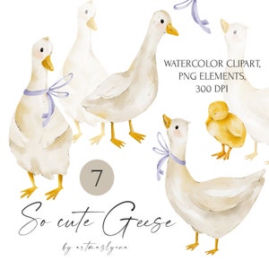 Imágenes prediseñadas de gansos de acuarela, lindas ilustraciones de gansos, imágenes digitales de animales de granja, patito pintado a mano, gansos blancos, descarga instantánea png