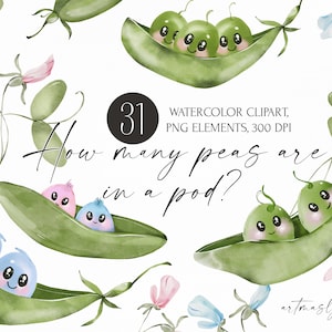 Aquarel erwten in een dop, tweeling babyshower clipart, drieling erwten in een dop, een erwt in een dop, genderparty, schattige cartoon kinderillustratie.