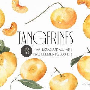 Watercolor Tangerines clipart for instant download. Tropical greenery, christmas clipart in PNG. Digital fruits, plants, leaves. Food art.