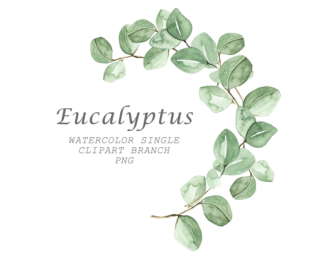 Watercolor Eucalyptus Wreath, Spring Greenery Arrangement, Wedding ...