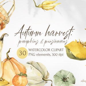 Waterverf Herfstoogst: pompoenen en dadelpruimen clipart. Herfstbladeren, groenten, pompoenen png. Aquarel Pompoen Herfst illustratie