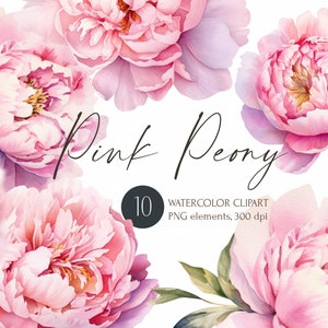 Roze pioenrozen bloemen aquarel clipart voor instant download, gratis commercieel gebruik, bloemen illustratie, roze bloesem png, digitale afbeeldingen.
