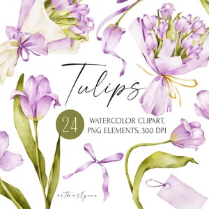 Clipart z fioletowymi tulipanami w akwareli, ilustracje na Dzień Matki wiosennej, kwiaty wielkanocne, obrazy kwiatów w formacie png, pliki do pobrania cyfrowego.