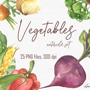 Watercolor Fresh Vegetables clipart set for instant download. PNG hand painted elements. Healthy Food DIGITAL clip art for your design. 300