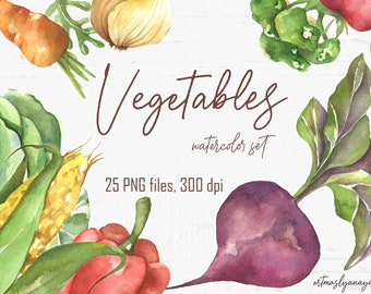 Watercolor Fresh Vegetables clipart set for instant download. PNG hand painted elements. Healthy Food DIGITAL clip art for your design. 300