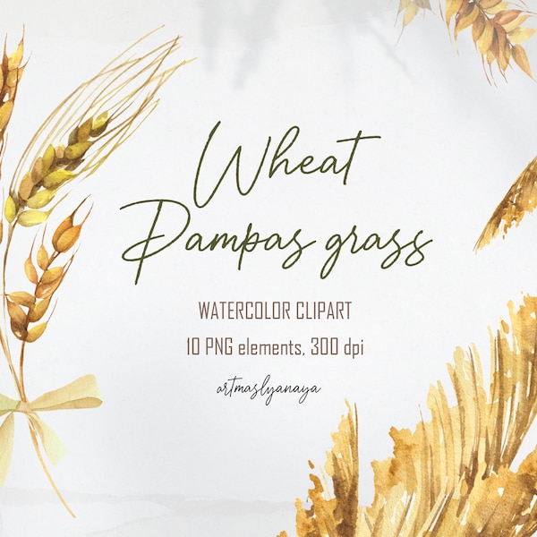 Watercolor wheat clipart. Baking bread clipart. Grains Set. hand painted seeds for instant download in PNG. Printable digital elements.