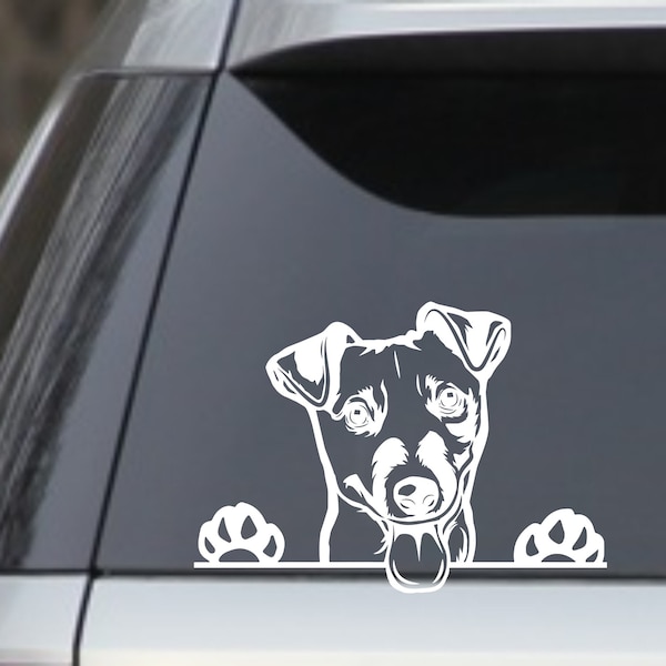 Peek a Boo Jack Russell Terrier 7.5” White Dog laptop window car Decal Sticker