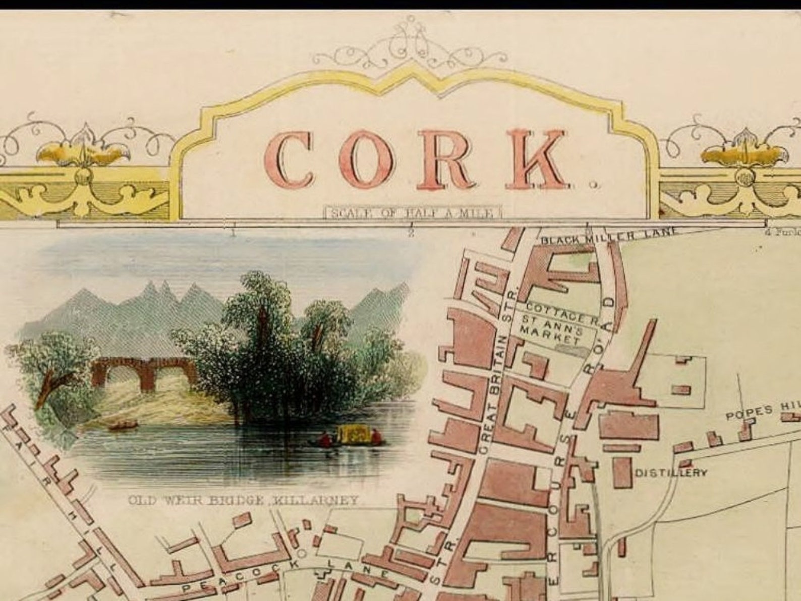 Vintage Map of Cork 1851 Etsy