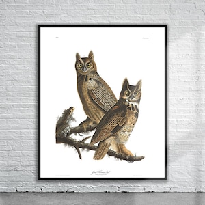 Schöner Vintage Audubon Amerikanischer Uhu Print | Wildtiere | Vintage Wand Kunst | Ideen für die Inneneinrichtung